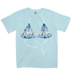 Chambray front flat lay